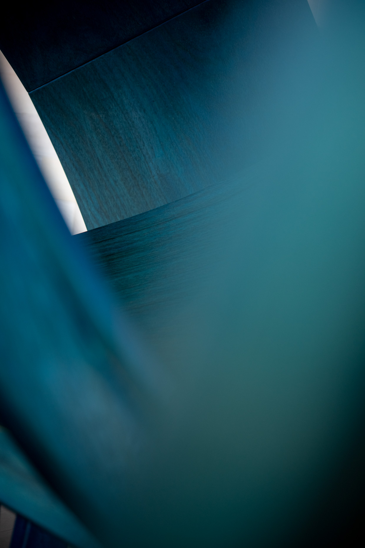 _DSC9310